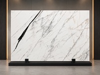 Dalle de marbre blanc Calacatta chinois pour mur de salle de bain, plan de toilette, îlot de cuisine et design d'intérieur de villa