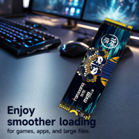 FANXIANG S790E M.2 2280 SSD 1TB NVMe PCIe 4.0 Internal Solid State Drive 600TBW OEM Pasokan Massal Sistem Builder Tersedia di Stok