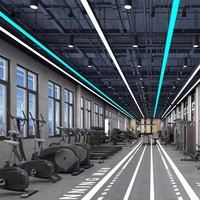 Suspension lumineuse linéaire décorative, luminaire rectangulaire connectable, lampe suspendue LED RGB pour salle de sport et salle de jeux