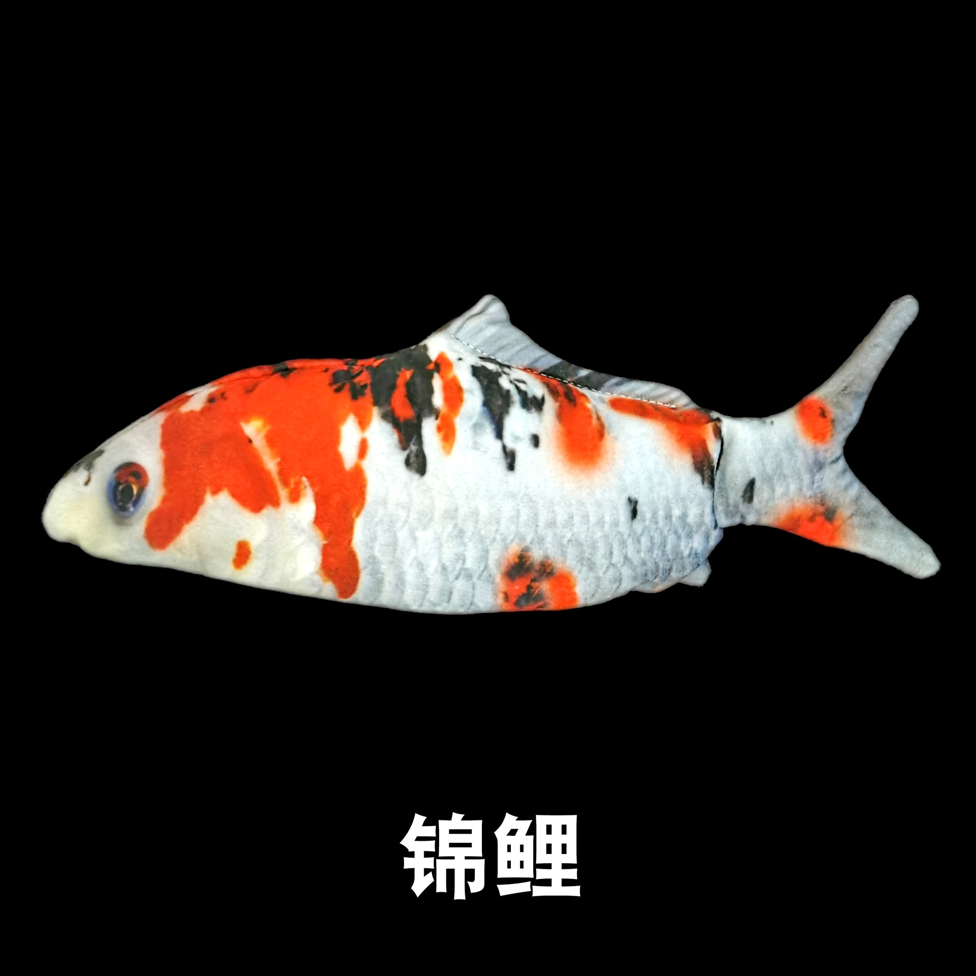 Ornamental Carp