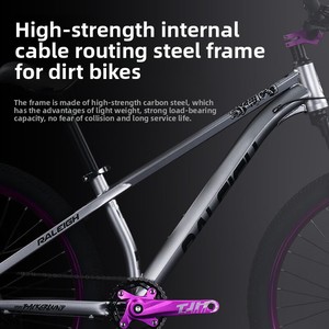 Bicicletta da Montagna Lan Ling <span class=keywords><strong>Tupo</strong></span> per Adulti e Adolescenti, Uomo e Donna, Fuoristrada, Velocità Variabile, Lega di Alluminio, 10 Velocità, Doppi Freni a Disco - Product Image 2