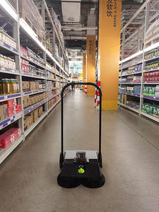 Balayeuse à batterie utilisée sur les sols en <span class=keywords><strong>gazon</strong></span> <span class=keywords><strong>synthétique</strong></span>, <span class=keywords><strong>gazon</strong></span> artificiel et sols durs - Product Image 3