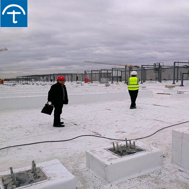 TPO Thermoplastic Polyolefin Waterproof Membrane, Construction Waterproofing Membrane, TPO Self-adhesive Waterproofing Membrane