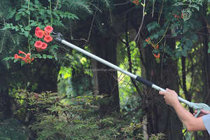 Outils de coupe de jardinage en aluminium SK5 avec poignée rotative en TPR, long manche, cueilleur de fruits d'arbre, sécateur - Product Image 6