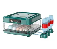 48卵容量自動給水卵インキュベーター孵化鶏
