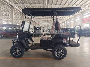 <b>2</b> Seat Golf Cart Electric <b>2</b> 6 Seater Price Chinese Gas Golf Carts for Sale <b>2</b> 4 6 <b>Passenger</b> Golf Carts - Product Image 2