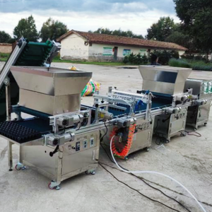 Máquina Automática para Bandejas de Plántulas de Frutas y Verduras, Sembradora de Bandejas con Agujas, Línea de Producción de Plántulas con Bandeja de Succión - Product Image 1