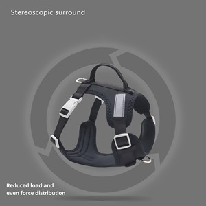 Arnés y Correa Ajustables para Perros Kingtale Classic 2025, el Más Vendido, con Materiales de Primera Calidad para Exteriores, para Perros y Mascotas - Product Image 4