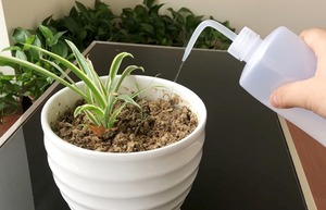 Système d'irrigation <span class=keywords><strong>goutte</strong></span> à <span class=keywords><strong>goutte</strong></span> automatique réglable, arroseur de plantes, dispositif d'irrigation automatique DIY, dispositif d'irrigation <span class=keywords><strong>goutte</strong></span> à <span class=keywords><strong>goutte</strong></span> à picots, <span class=keywords><strong>bouteille</strong></span> compressible de 500 ml - Product Image 4