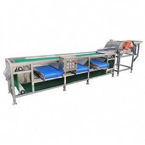 Trieuse pour bébé carotte tomate cerise oignon pour le classement des fruits et légumes - Product Image 1