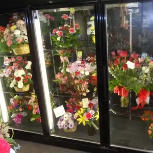 غرفة تخزين لعرض البارد من Bescool مع باب زجاجي سميك 120 مم لمتاجر السوبر ماركت ومتجر الزهور باستخدام نظام التبريد