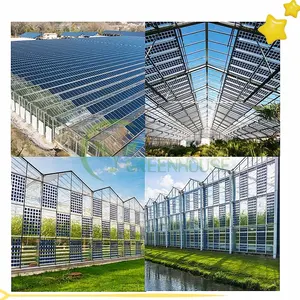 Pannelli solari trasparenti agricoli intelligenti Multi-Span Venlo agricoltura convenienti serra solare strutturale commerciale