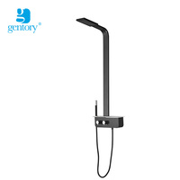 Panneaux muraux de douche de douche design colonne 5052 en alliage d'aluminium noir couleur panneau de douche salle de bains S300-7