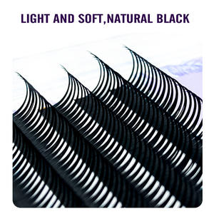 XIUSUZAKI 0.05 0.07mm Extensions de Cils Spikes Type <span class=keywords><strong>Manga</strong></span> Cosplay Wispy Volume Fans Préfaits Fournitures de Cils Effet Mouillé - Product Image 3