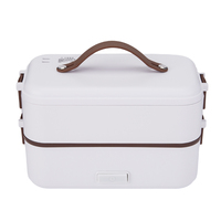 Chauffe-plat électrique 300W en acier inoxydable et plastique, 110V-220V, capacité 0,8L, pour usage domestique et extérieur, design moderne