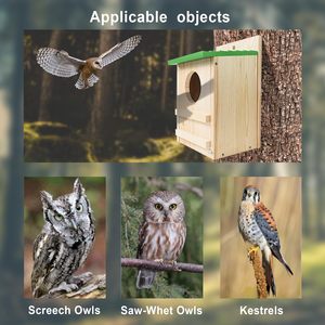 Büyük el yapımı ahşap dairesel açılış Screech kutusu papağan baykuş ahşap kuş evi - Product Image 4