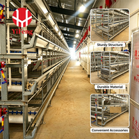 Système économique de cages d'élevage automatiques de type H pour poussins, avec accessoires complets, idéal pour les projets d'élevage avicole neufs