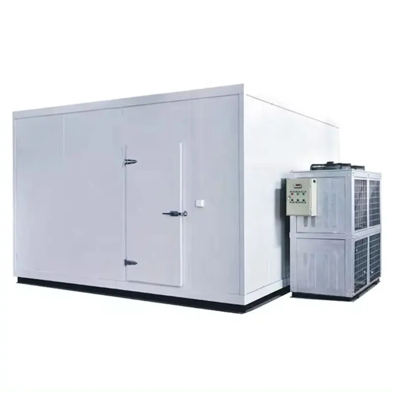 Fabrika uygun fiyat satıyor 3PH 50/60HZ mobil yalıtımlı dondurucu konteyner soğuk oda özelleştirilebilir