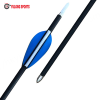 Flèches d'entraînement pour arc recurve, pratique, adultes, durables, en fibre de verre, 6 mm, lot de 10, plumes en plastique Yulong, personnalisables, tir à l'arc