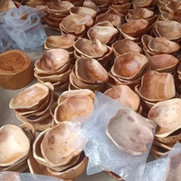 Smoothie bricolage naturel en gros Mini assiettes jetables laqué ensemble cuillère en bois petite coquille noix de coco bol pour la fabrication de bougies