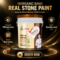 Peinture Nano Inorganique à Base de Pierre Véritable Silicone Acrylique pour Mur Extérieur Co...