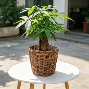 Cesto in Rattan HF0240 con Manici, Vaso in Rattan Piccolo e Grande, Vasi Rotondi Fatti a Mano per Fiori e Piante, Cesto Portaoggetti in <span class=keywords><strong>Vimini</strong></span> Jumbo - Product Image 1