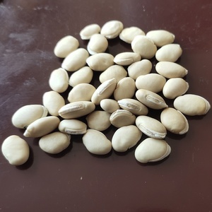 Semillas <span class=keywords><strong>de</strong></span> Judías <span class=keywords><strong>de</strong></span> Jacinto Tipo YAO BIAN DOU Chinas, Lentejas Partidas, Lentejas Blancas Ovaladas Secas - Product Image 6