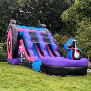 Château gonflable à thème TikTok pour enfants avec toboggan, combo de château gonflable, château gonflable à sauter, toboggan aquatique gonflable - Product Image 4