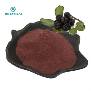 100% Pure Botanical Black Berry <strong>Extract</strong> Anthocyanin Fruit <strong>Powder</strong> - Product Image 2