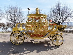 Carruaje de Princesa Cenicienta con Forma de Calabaza, Eléctrico, Dorado, Real, para Paseos Turísticos, Carruaje de Boda sin Caballos en Venta - Product Image 4