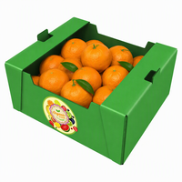 Caisse pliable en plastique ondulé PP écologique pour la vente en gros, idéale pour l'emballage de fruits (orange, pêche) et légumes, et pour le déménagement.