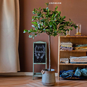 Arbre topiaire artificiel en <span class=keywords><strong>laurier</strong></span>, <span class=keywords><strong>plante</strong></span> en pot à feuilles <span class=keywords><strong>de</strong></span> <span class=keywords><strong>laurier</strong></span> au toucher réel pour la décoration intérieure et extérieure <span class=keywords><strong>de</strong></span> la maison, <span class=keywords><strong>de</strong></span> l'hôtel, du centre commercial, du bureau, du jardin et des mariages - Product Image 4