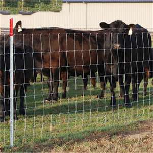 Valla Agrícola Económica de Nudos Fijos, Valla Galvanizada para Campos, Protección Contra Cabras - Product Image 3