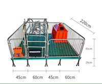 Équipement d'élevage porcin : Système de boxes, Caisse de mise bas, Enclos de mise bas pour porcs à vendre