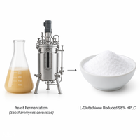 LCHBIO Acide Tranexamique en Vrac Extrait de Graine Réduit 98% 99% Poudre HPLC Qualité Cosmétique Certifié ISO 22000 HACCP par un tiers