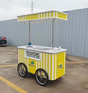 Chariot à glaces personnalisé, grand et magnifique, pour gelato, glaces et sorbets, chariot à glaces mobile à pousser à la main - Product Image 3