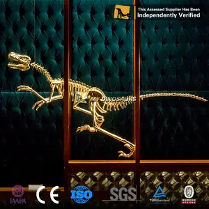 MY DINO GS003 Indoor Decoration Fiberglass Golden Dinosaur Skeleton for Exhibition