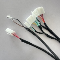 Set Kabel Harness Mobil Otomotif Lengkap, Kabel Listrik Golf Cart, Set Kabel Harness OEM/ODM, Produsen Kabel Harness Custom