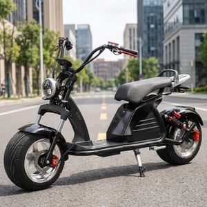 Motocicleta Eléctrica Nueva de Fábrica Sellada para Adultos, de Alta Velocidad 70KM/H, 4000W, con Motor de Rueda de Aluminio - Product Image 2