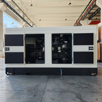 Générateur électrique diesel insonorisé de marque américaine Weichai Faw Ricardo 200 kW 300 kVA 250 kW pour usage domestique
