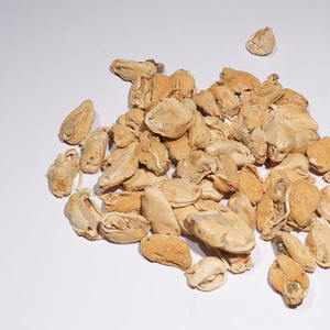 Cereali senza glutine, dolcetti da masticare morbidi ipoallergenici per cani con artrite sollievo dal dolore per animali domestici carne di cozze cibo liofilizzato per animali domestici - Product Image 3