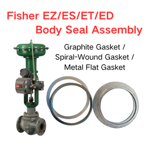 Válvulas de Control EZ/ES/ET/ED - Emerson Graphite - Empaque de Sellado para Vástago y Cuerpo con Junta Plana Espiral Metálica - Product Image 1