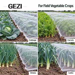 Serre agricole à toit à pignon multi-voûtes, connectée par gouttières, avec un design offrant un espace de hauteur supplémentaire pour la culture de plantes à tige haute et les pépinières - Product Image 1
