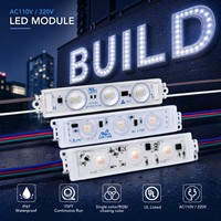 Accesorios de Iluminación, Módulo LED de Alto Voltaje a Precio de Fábrica para Letreros Comerciales, Sistemas de Exhibición y Proyectos de Iluminación para Minoristas
