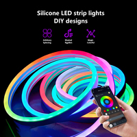 Bande lumineuse LED en silicone souple imperméable pour extérieur, couleur fantôme, télécommande intelligente, bande lumineuse néon, lumière décorative ambiante, 5V