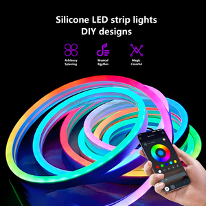 ไฟ LED แถบซิลิโคนกันน้ำสำหรับภายนอกอาคาร สีแฟนธอม ควบคุมด้วยรีโมทอัจฉริยะ ไฟนีออนตกแต่งสร้างบรรยากาศ 5v - Product Image 1