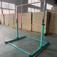 Barres parallèles et barre horizontale portables pour enfants - Équipement de gym à domicile pour tractions et entraînement de force