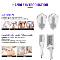 Appareil de beauté multifonctionnel portable 2 en 1 pour la stimulation musculaire EMS et la micro-vibration, rouleau interne pour sculpter le corps et amincir