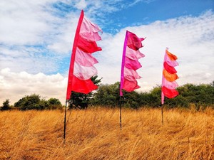 Промоакция от производителя, 100% полиэстер, наружное украшение, красочный баннер, праздничный флаг на заказ - Product Image 3