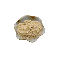 Poudre essentielle de gluten de blé de qualité alimentaire pour les additifs alimentaires